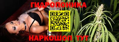марихуана Будённовск