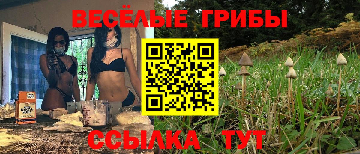 Псилоцибиновые грибы Magic Shrooms Кыштым
